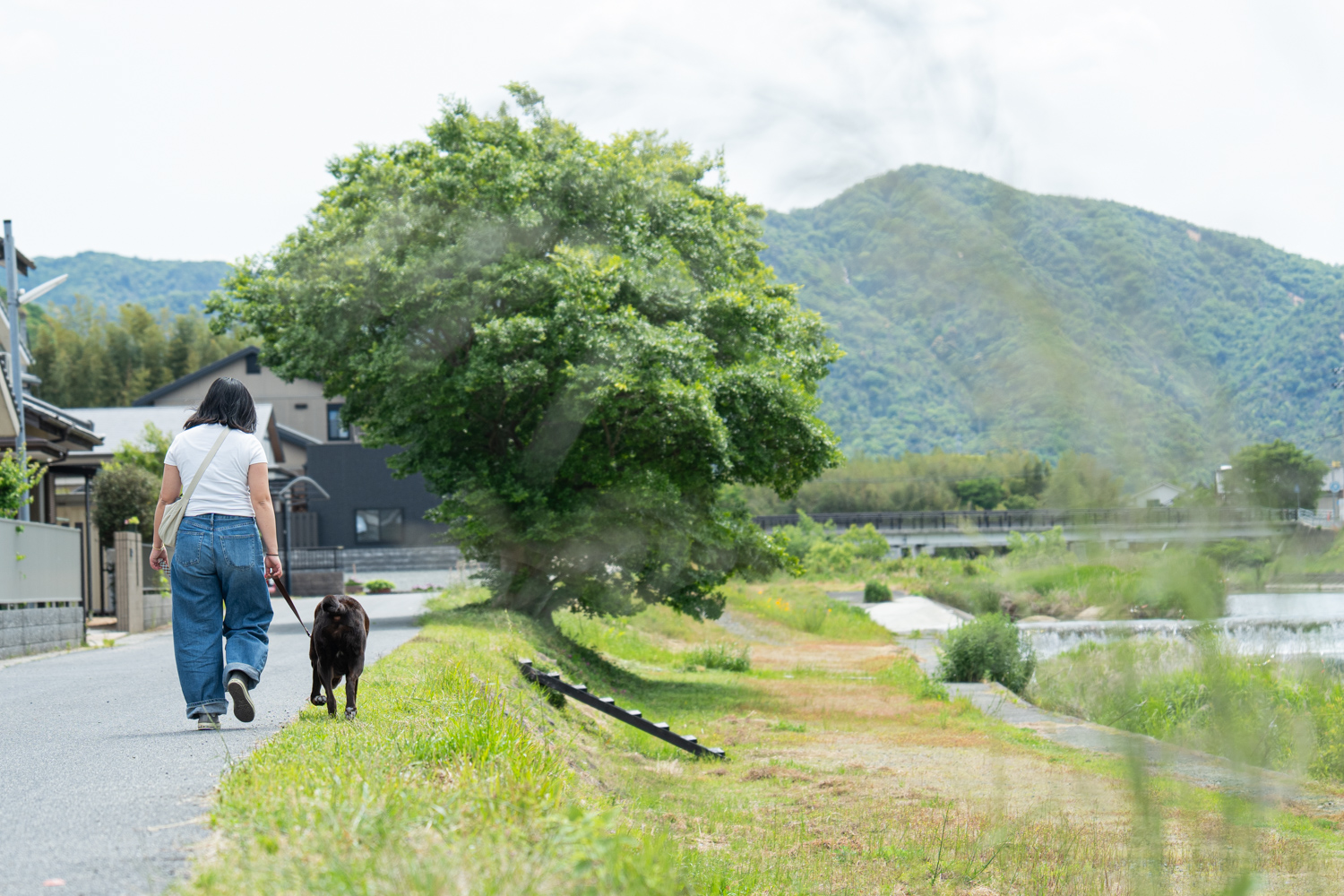 仁保川沿いの散歩道